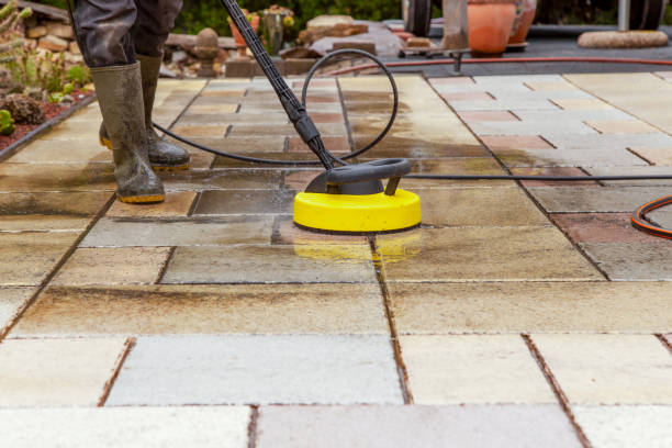 Animal Enclosure Cleaning in Travis Ranch, TX